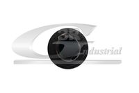 3RG 25799 - Pomo palanca cambios