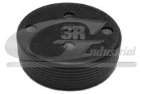 3RG 84701 - Tapones, taladro de montaje eje de balancín