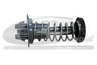 3RG 80587 - Muelle neumático, capó de motor