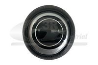 3RG 25836 - Pomo palanca cambios