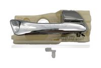 3RG 69830 - Manecilla de puerta, equipamiento habitáculo