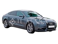 JUMASA 46420432 - Piloto de matrícula