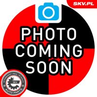 ESEN SKV 02SKV021 - Bomba de combustible