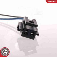 ESEN SKV 02SKV213 - Bomba de combustible