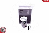 ESEN SKV 02SKV810 - Unidad de alimentación de combustible