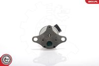 ESEN SKV 14SKV017 - Válvula EGR