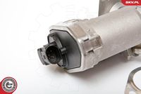 ESEN SKV 14SKV044 - Válvula EGR