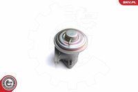 ESEN SKV 14SKV098 - Válvula EGR