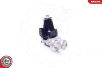 ESEN SKV 14SKV159 - Válvula EGR