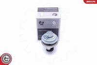 ESEN SKV 14SKV182 - Válvula EGR