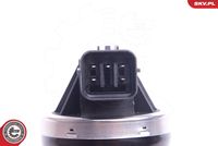 ESEN SKV 14SKV210 - Válvula EGR