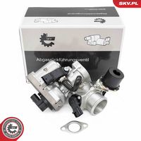 ESEN SKV 14SKV256 - Válvula EGR
