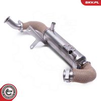 ESEN SKV 14SKV246 - Elemento enfriador, reciclaje gases escape