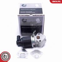 ESEN SKV 14SKV008 - Válvula EGR