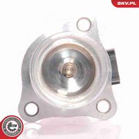 ESEN SKV 14SKV010 - Válvula EGR