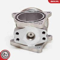 ESEN SKV 14SKV019 - Válvula EGR