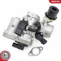 ESEN SKV 14SKV256 - Válvula EGR