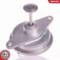 ESEN SKV 14SKV022 - Válvula EGR