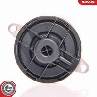 ESEN SKV 14SKV023 - Válvula EGR