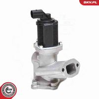 ESEN SKV 14SKV031 - Válvula EGR