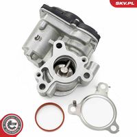 ESEN SKV 14SKV276 - Válvula EGR