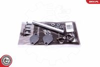 ESEN SKV 14SKV507 - Kit de reparación, válvula EGR
