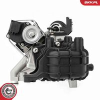 ESEN SKV 14SKV289 - Válvula EGR