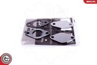 ESEN SKV 14SKV530 - Kit de reparación, válvula EGR