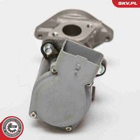 ESEN SKV 14SKV073 - Válvula EGR