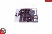 ESEN SKV 14SKV550 - Kit de reparación, válvula EGR