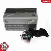 ESEN SKV 14SKV077 - Válvula EGR