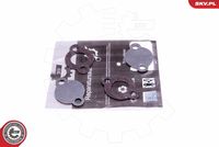ESEN SKV 14SKV578 - Kit de reparación, válvula EGR