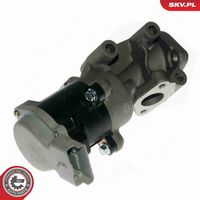 ESEN SKV 14SKV089 - Válvula EGR