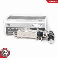 ESEN SKV 14SKV094 - Válvula EGR