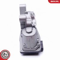 ESEN SKV 14SKV103 - Válvula EGR