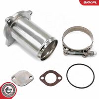 ESEN SKV 14SKV581 - Kit de reparación, válvula EGR