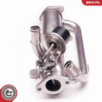 ESEN SKV 14SKV126 - Válvula EGR