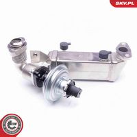 ESEN SKV 14SKV136 - Válvula EGR