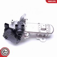 ESEN SKV 14SKV157 - Válvula EGR