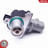 ESEN SKV 14SKV163 - Válvula EGR