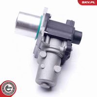 ESEN SKV 14SKV163 - Válvula EGR