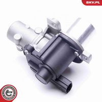 ESEN SKV 14SKV163 - Válvula EGR