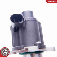 ESEN SKV 14SKV163 - Válvula EGR