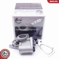 ESEN SKV 14SKV165 - Válvula EGR