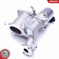 ESEN SKV 14SKV166 - Válvula EGR