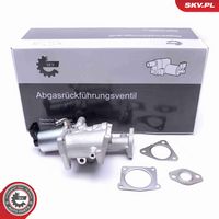 ESEN SKV 14SKV167 - Válvula EGR