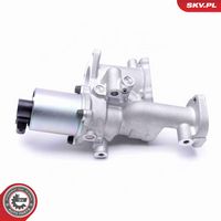 ESEN SKV 14SKV167 - Válvula EGR