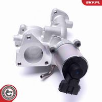 ESEN SKV 14SKV167 - Válvula EGR