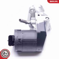 ESEN SKV 14SKV169 - Válvula EGR