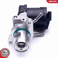 ESEN SKV 14SKV169 - Válvula EGR